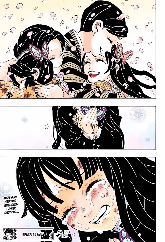 Kimetsu No Yaiba Chapter 163